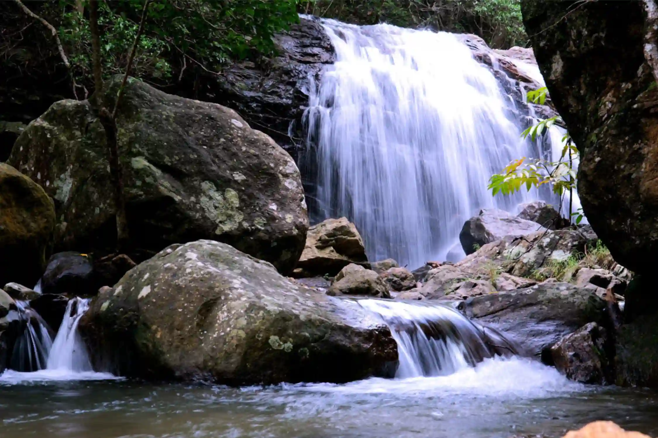 The Shenbagathoppu temple, commonly known as Kattalagar Temple, is a serene, historic hilltop shrine located 17 km from Srivilliputhur in the Western Ghats. Built by King Veerappa Nayakar in the 15th century, it is known for its year-round, mysterious, crystal-clear natural spring, lush greenery, and proximity to waterfalls